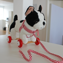 Spiegel Institut Institutswachhund Sir Henry