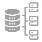 Icon Conjoint-Analyse, Daten